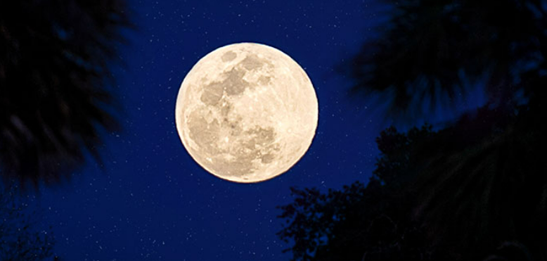 抬头观月！迪拜将在8月1日迎来超级月亮