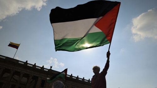 民众挥舞巴勒斯坦旗