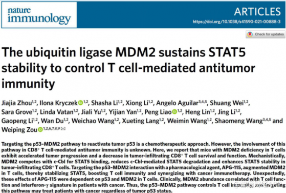 亚盛医药-B(06855)MDM2- p53抑制剂APG-115最新研究成果荣登《自然免疫学》期刊，再获国际学界认可